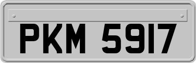 PKM5917