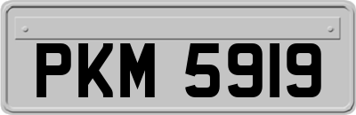 PKM5919