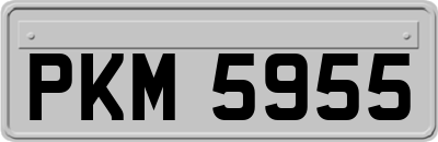 PKM5955