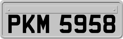 PKM5958