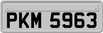 PKM5963