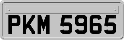 PKM5965