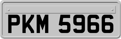 PKM5966