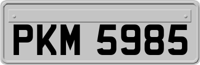 PKM5985