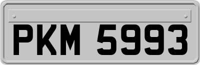 PKM5993