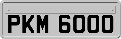 PKM6000