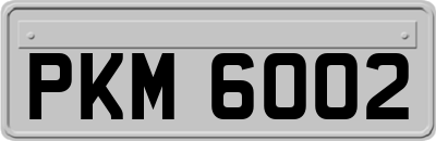 PKM6002