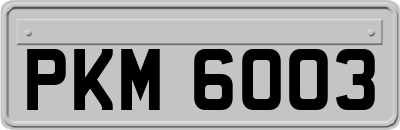 PKM6003