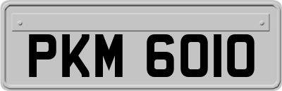 PKM6010