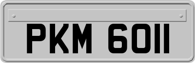 PKM6011