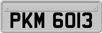PKM6013