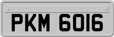 PKM6016