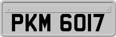 PKM6017