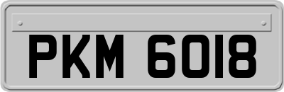 PKM6018