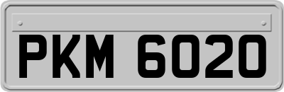 PKM6020