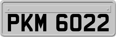 PKM6022