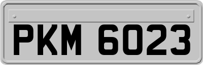 PKM6023