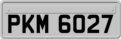 PKM6027