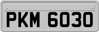PKM6030