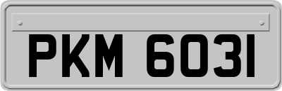PKM6031