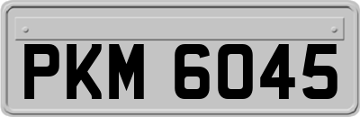 PKM6045