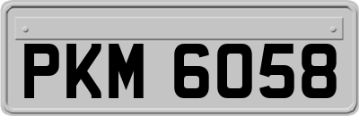 PKM6058