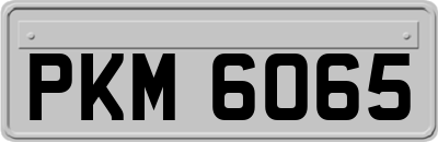 PKM6065