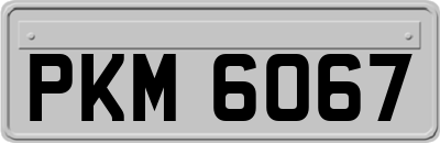 PKM6067