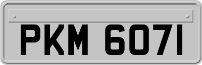 PKM6071