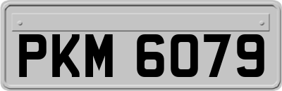 PKM6079