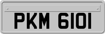 PKM6101