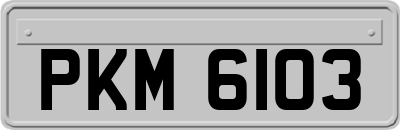 PKM6103