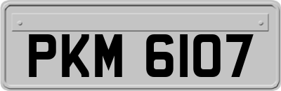 PKM6107