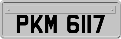 PKM6117