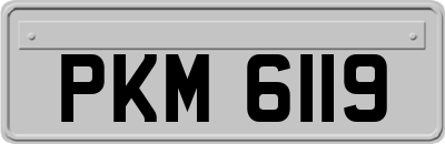 PKM6119