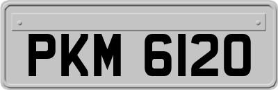 PKM6120