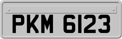 PKM6123
