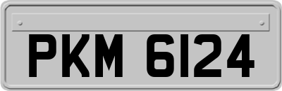 PKM6124