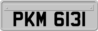 PKM6131