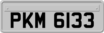 PKM6133