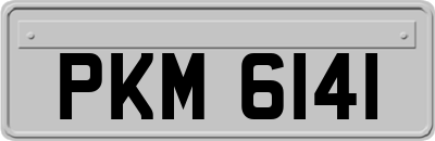 PKM6141