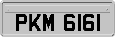 PKM6161