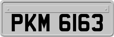 PKM6163