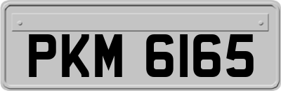 PKM6165