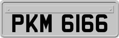 PKM6166