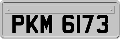 PKM6173