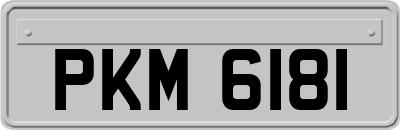PKM6181
