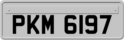 PKM6197