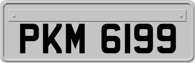 PKM6199