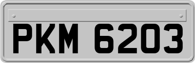 PKM6203